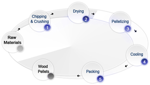 Pelletizing Process of Wood Pellet Plant