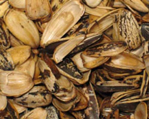 sunflower husk pellets