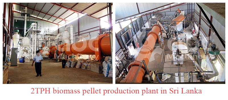 2tph biomass pellet production plant in Sri Lanka