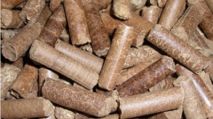 Making Wood Pellets