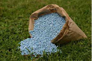 fertilizers of  plant