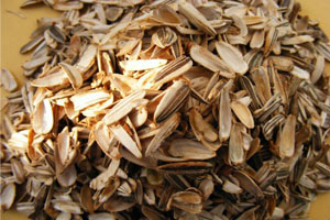 sunflower husk