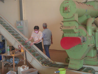 pellet conveyor